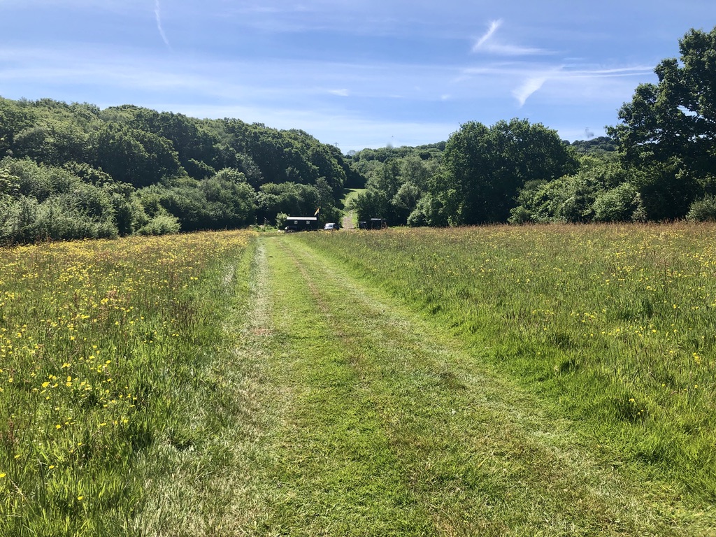 0E39756C A8A4 4465 8141 9E492208B956 1 105 c