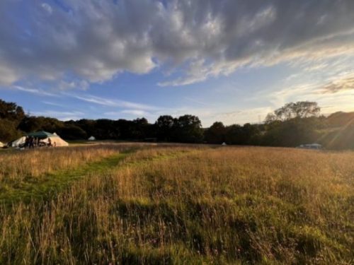 self pitching in sussex