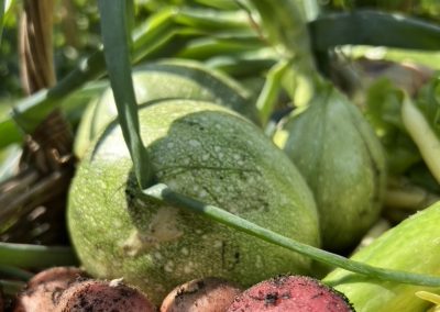 6C27A289 0F73 43EE A9D7 E6CF00FBC508 1 105 c