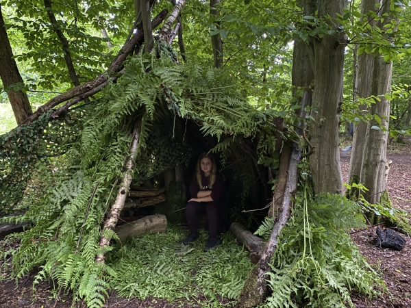 Build it and they will come den building