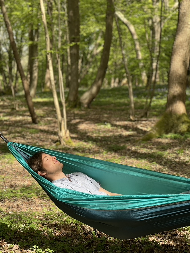 7E8655E5 E7E7 424A 912A 450B2244D5D4 1 105 c