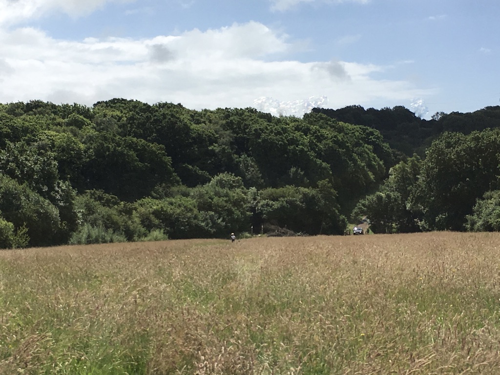 the being of the farm