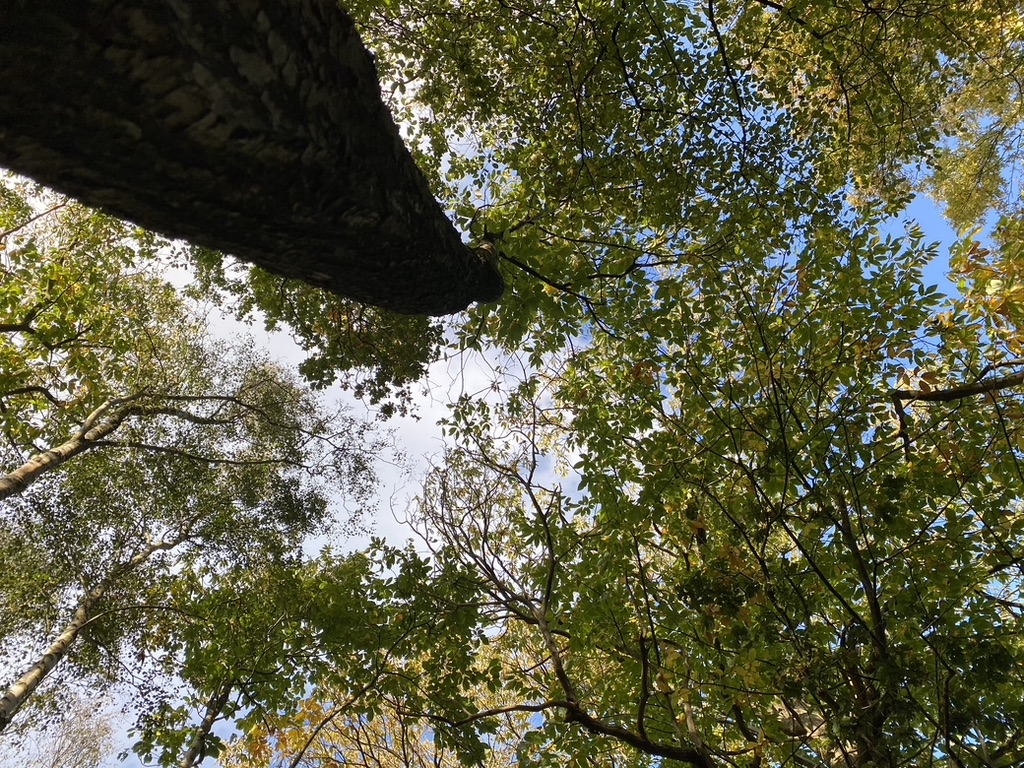 B4C3EDFE 2847 4C67 B764 F04721DE8192 1 105 c