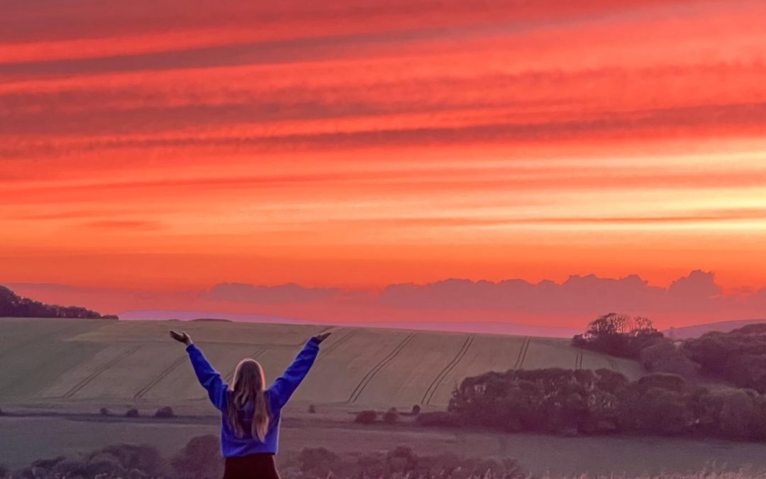 camping and wild sauna hastings