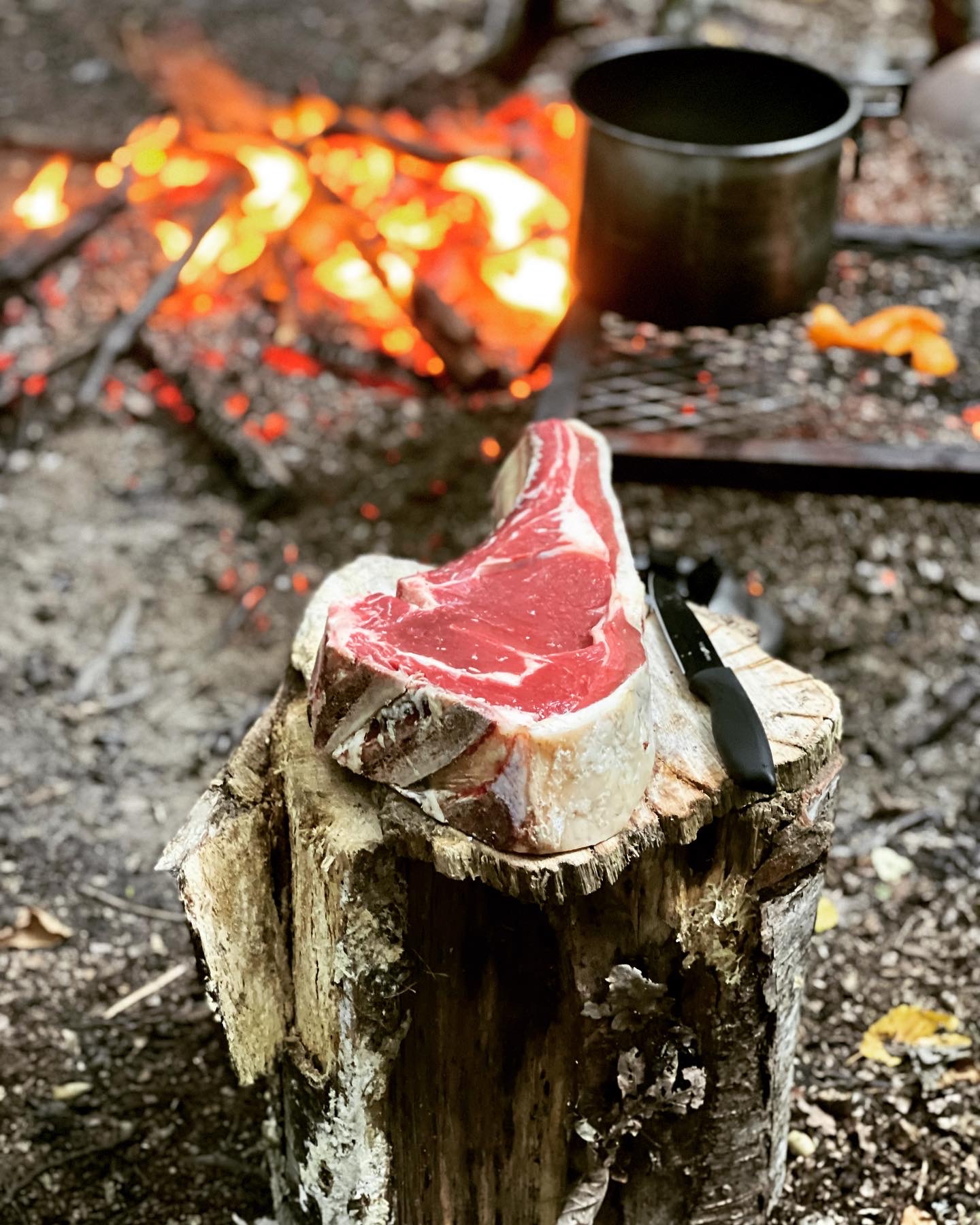 rib eye on the bone cooked over Horn beam glowing embers
