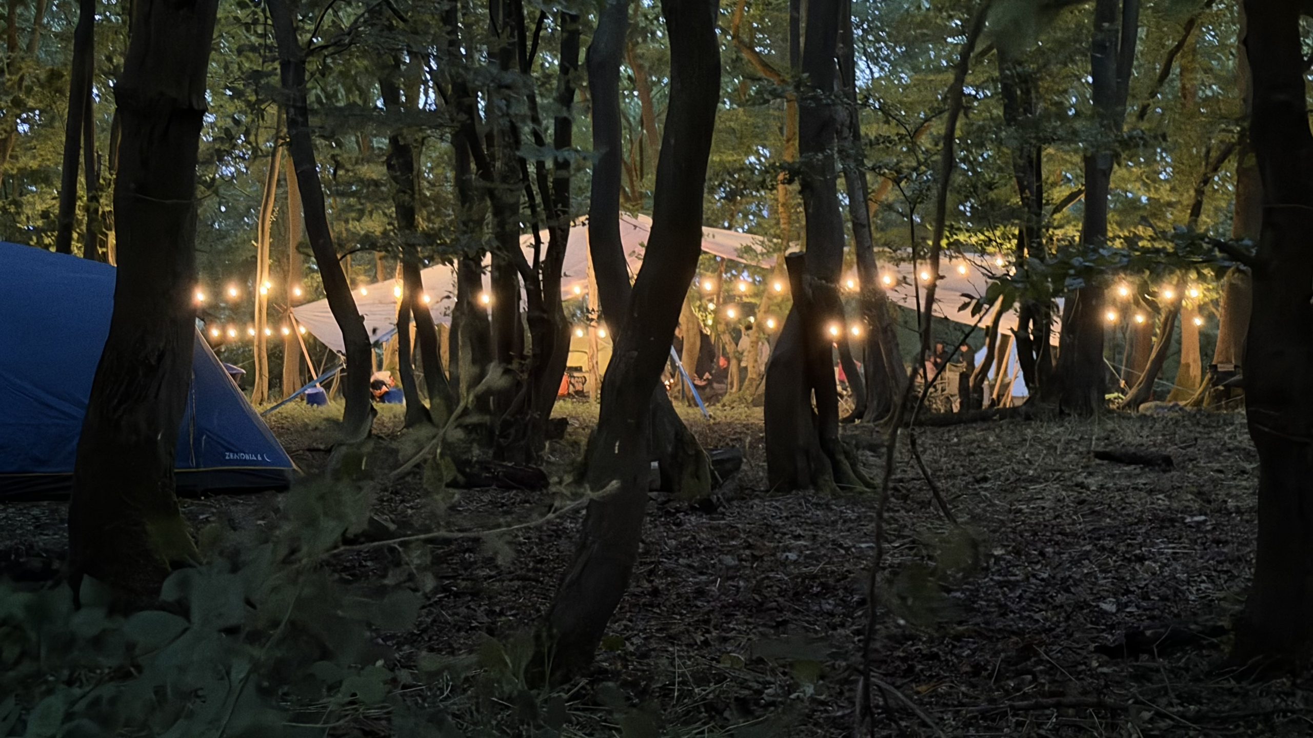 woodland party