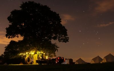 Pop Ups Hastings campsite