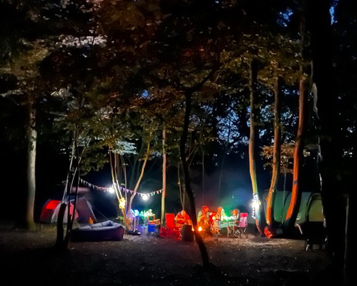 best camping wild woodland sussex uk