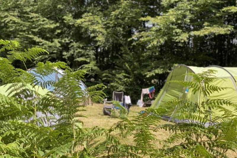 book east sussex campsite uk