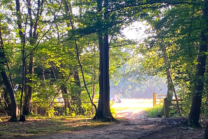 book self pitching camping