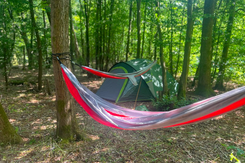 book woodland camping sussex