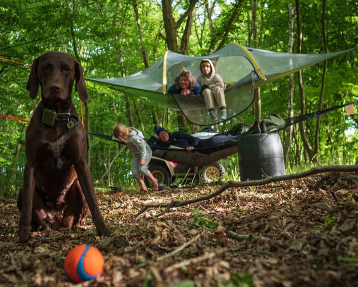 camping activities for families