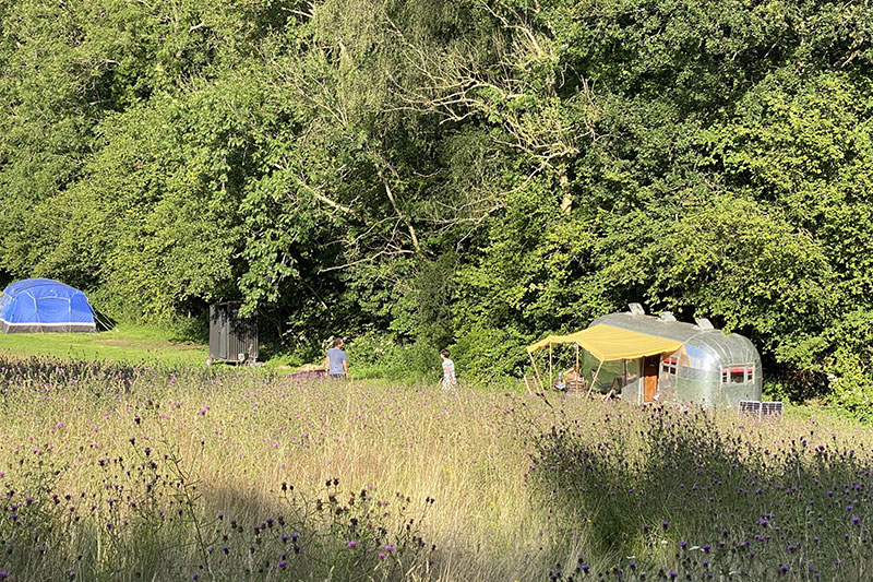 campsite in east sussex camping