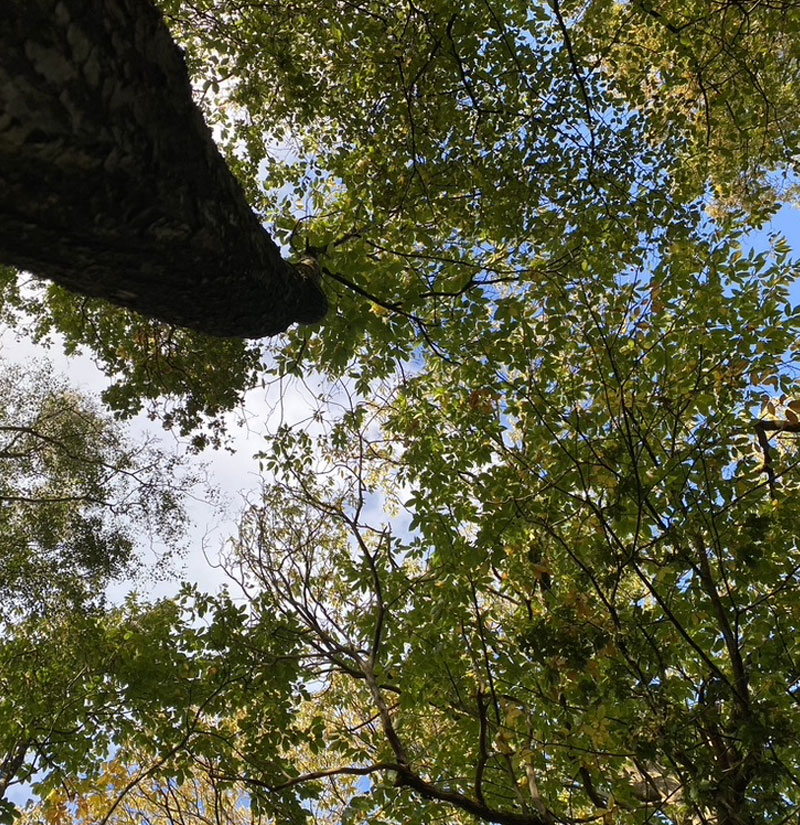 sauna and relaxation camping in sussex sauna and relaxation camping in sussex