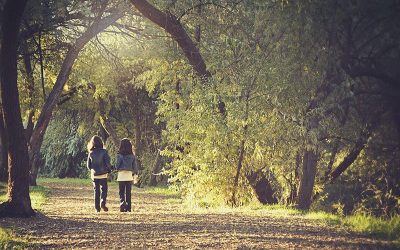 Class and year group camping trips