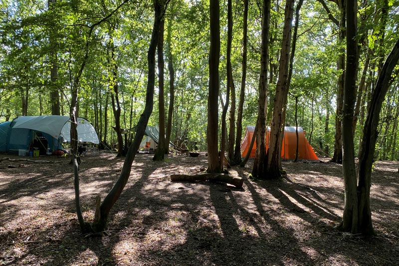 sussex woodland campsite camp site